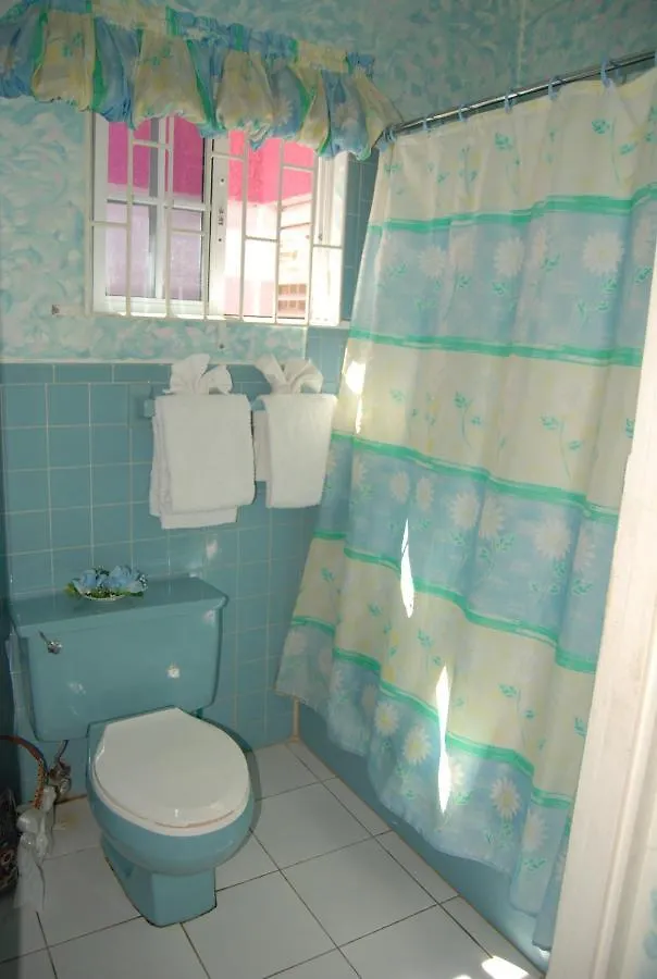 מונטגו ביי Pink Hibiscus Bed And Breakfast מונטגו ביי