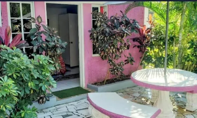 וילה מונטגו ביי Pink Hibiscus Bed And Breakfast