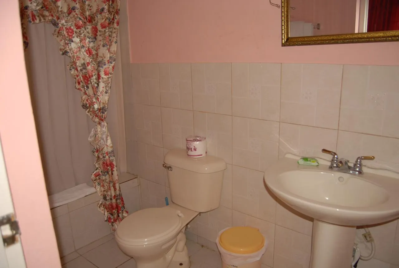 מונטגו ביי Pink Hibiscus Bed And Breakfast מונטגו ביי