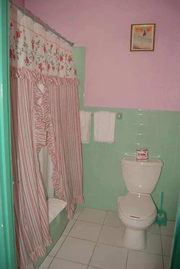 מונטגו ביי Pink Hibiscus Bed And Breakfast ג'מייקה