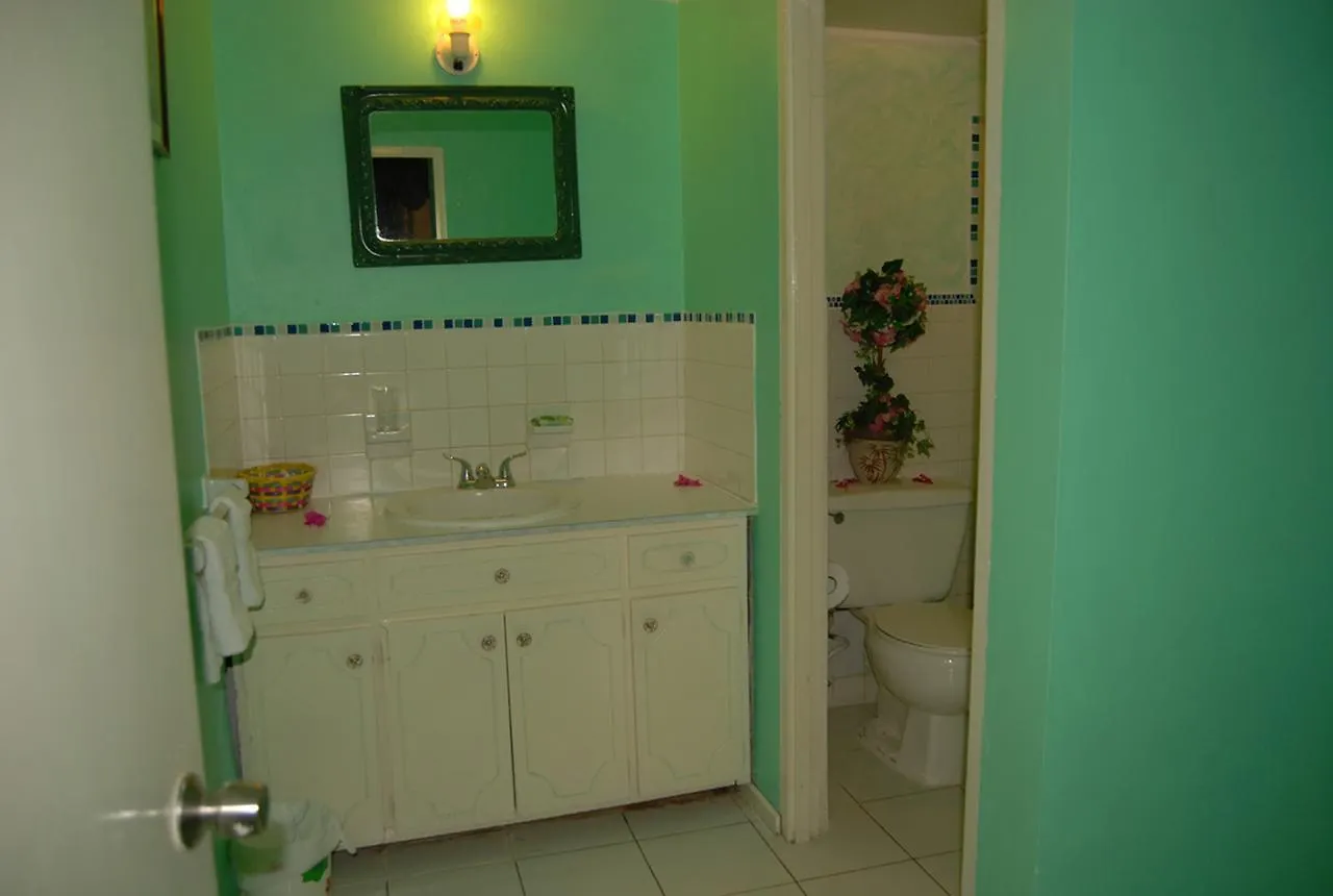 מונטגו ביי Pink Hibiscus Bed And Breakfast