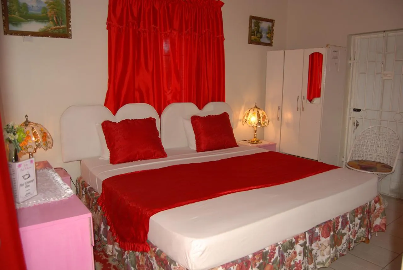 וילה מונטגו ביי Pink Hibiscus Bed And Breakfast ג'מייקה