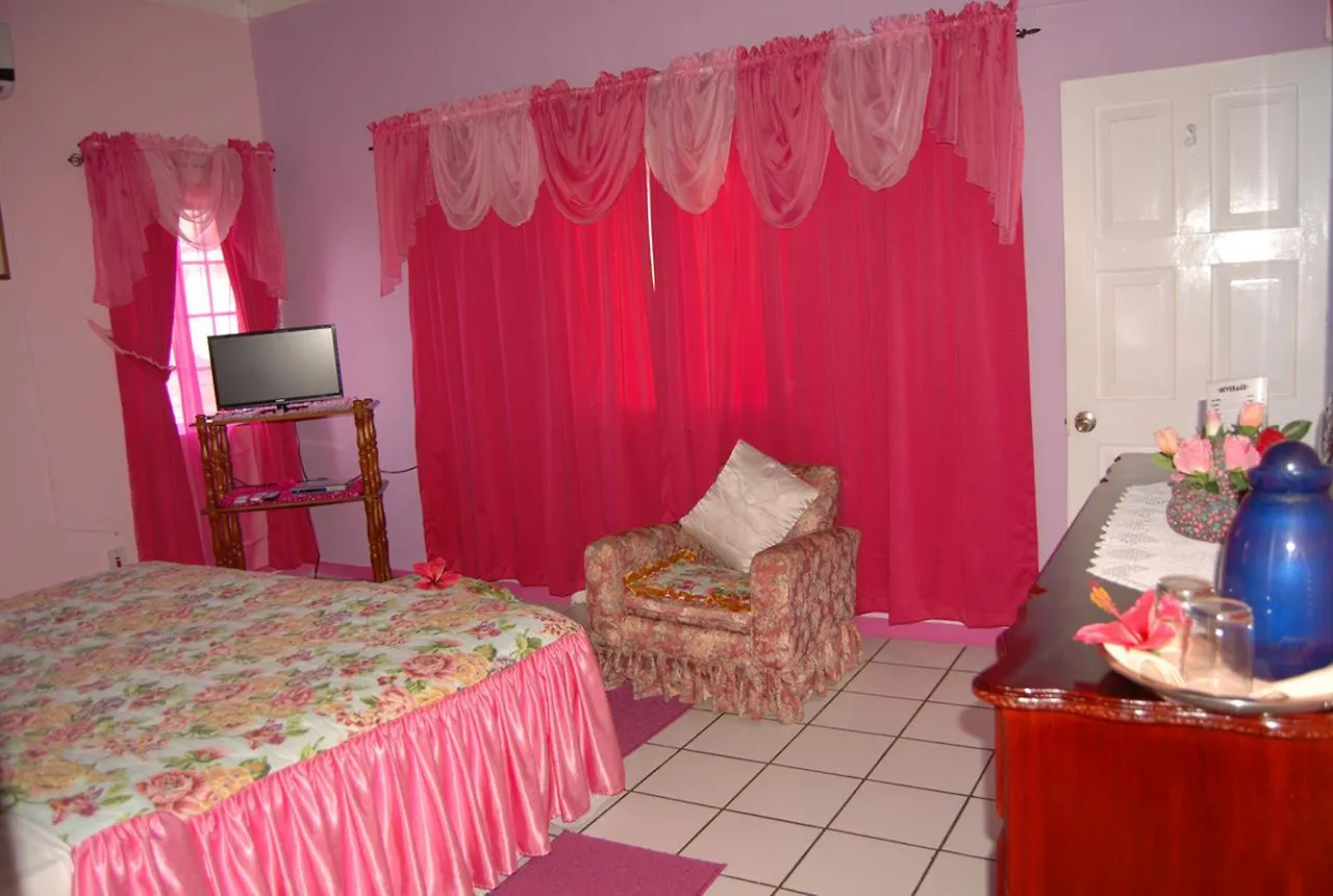 מונטגו ביי Pink Hibiscus Bed And Breakfast וילה