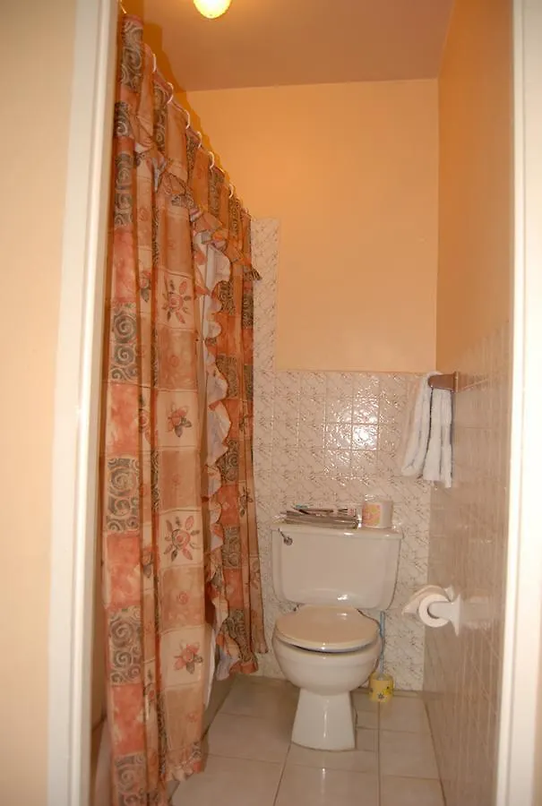 מונטגו ביי Pink Hibiscus Bed And Breakfast וילה מונטגו ביי