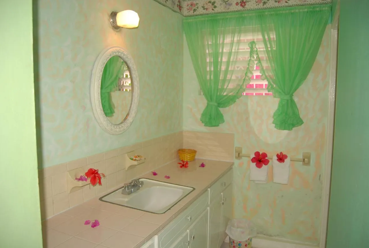 מונטגו ביי Pink Hibiscus Bed And Breakfast 0*, מונטגו ביי ג'מייקה