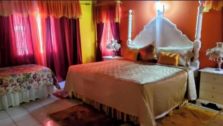 מונטגו ביי Pink Hibiscus Bed And Breakfast