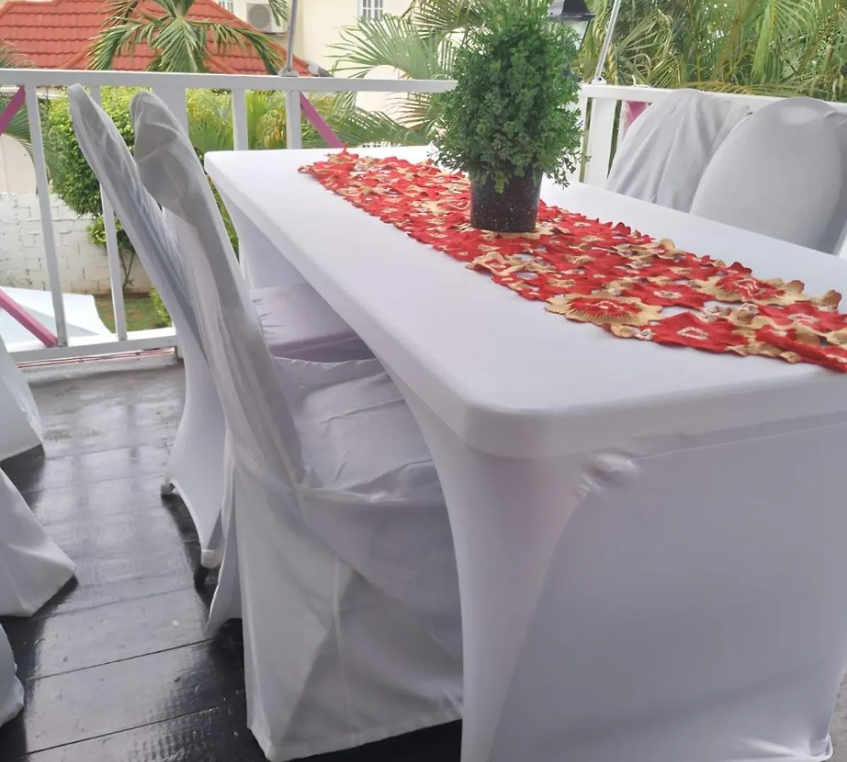 מונטגו ביי Pink Hibiscus Bed And Breakfast וילה מונטגו ביי