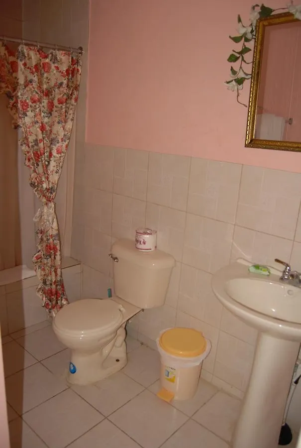 וילה מונטגו ביי Pink Hibiscus Bed And Breakfast