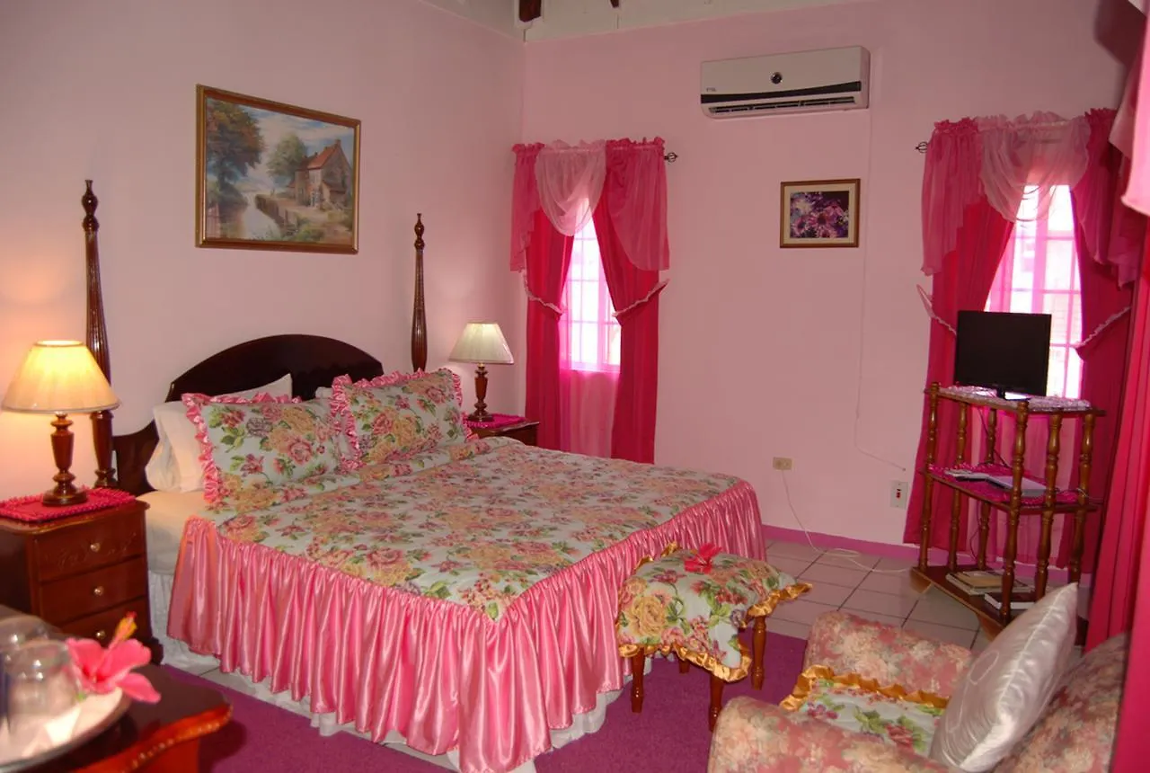 וילה מונטגו ביי Pink Hibiscus Bed And Breakfast