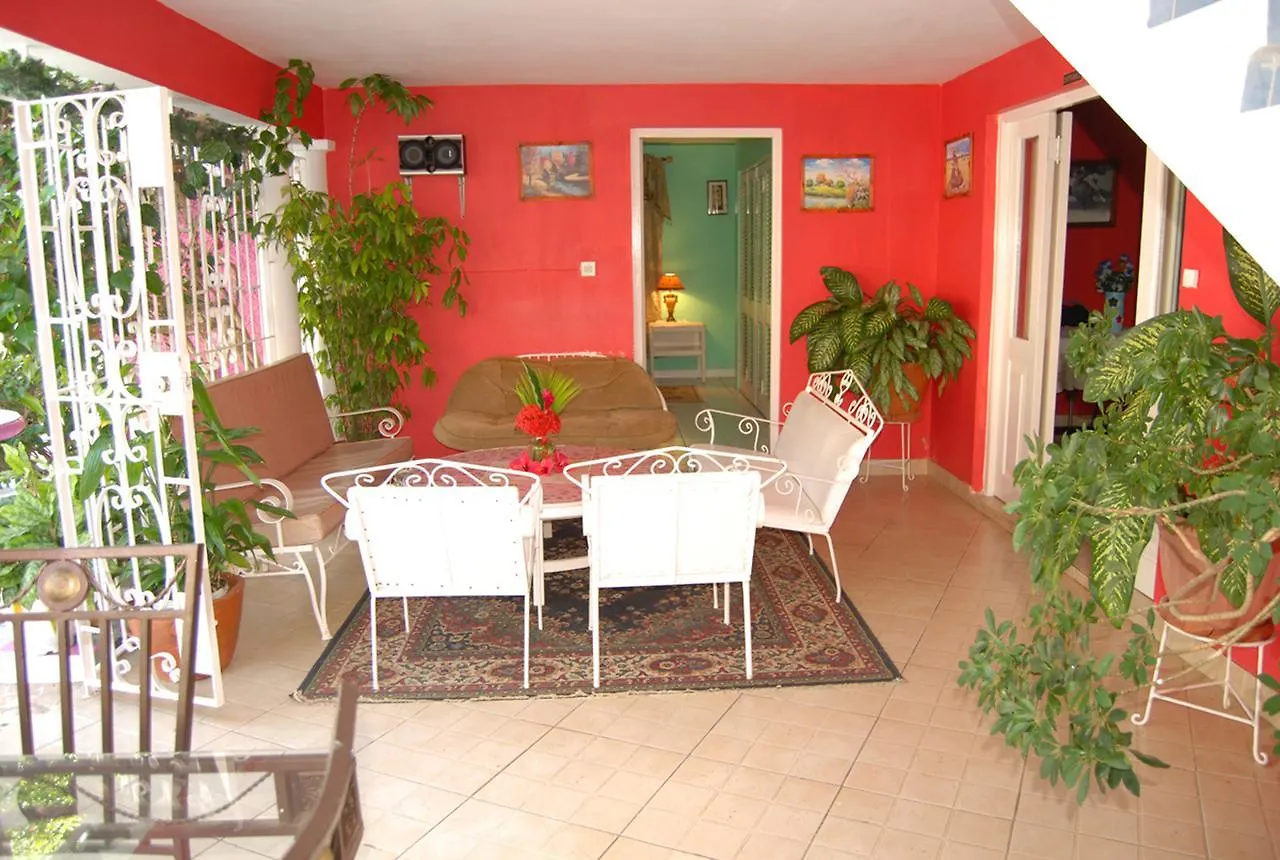 מונטגו ביי Pink Hibiscus Bed And Breakfast ג'מייקה